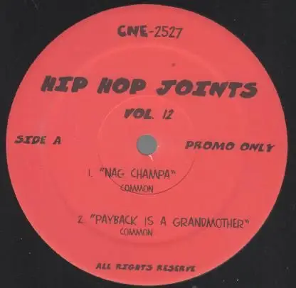 Hip Hop Sampler - Hip Hop Joints Vol.12