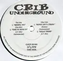 12'' - Hip Hop Sampler - Crib Underground