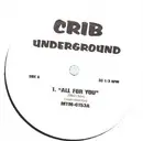 12'' - Hip Hop Sampler - Crib Underground