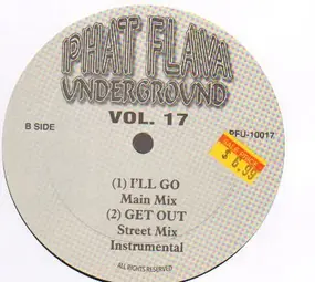 Various Artists - Phat Flava Underground Vol. 17