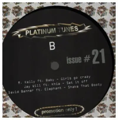 Hip Hop Sampler - Platinum Tunes Issue #21