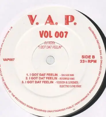 DJ Kool - V.A.P. Vol 007