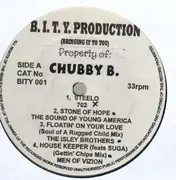 12'' - Hip Hop Sampler - B.I.T.Y. Productions (Bringing It To You)