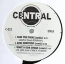 12'' - Hip Hop Sampler - Central