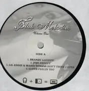 12'' - Hip Hop Sampler - Club Melodies Volume One