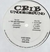 12'' - Hip Hop Sampler - Crib Underground