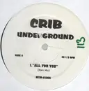 12'' - Hip Hop Sampler - Crib Underground