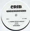 12'' - Hip Hop Sampler - Crib Underground