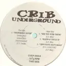 12'' - Hip Hop Sampler - Crib Underground