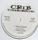 12'' - Hip Hop Sampler - Crib Underground