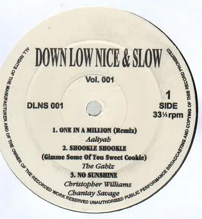 Hip Hop Sampler - Down Low Nice & Slow Vol. 001