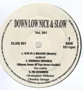 12'' - Hip Hop Sampler - Down Low Nice & Slow Vol. 001