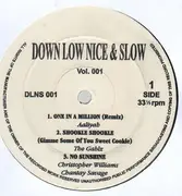 12'' - Hip Hop Sampler - Down Low Nice & Slow Vol. 001
