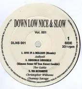 Hip Hop Sampler - Down Low Nice & Slow Vol. 001