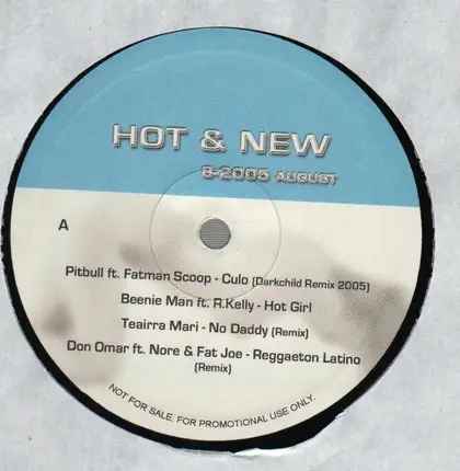Hip Hop Sampler - Hot & New 8-2005 August