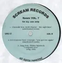 12'' - Hip Hop Sampler - Remix Vol. 7