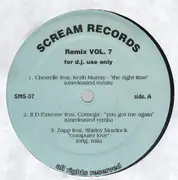 12'' - Hip Hop Sampler - Remix Vol. 7