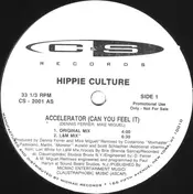 Hippie Culture - Accelerator (Can You Feel It)