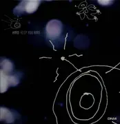 12inch Vinyl Single - Hird - Keep You Hird