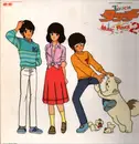 LP - Hiroaki Serizawa - Touch Music Flavor 2 - Gatefold, + Insert
