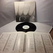 LP - Hiroyuki Minowa - The Musical Band Of Bremen = ぶれーめんの音楽隊