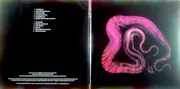 LP - Hiss Golden Messenger - Bad Debt - Gatefold