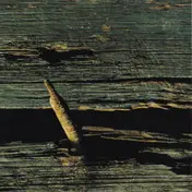 Home - 13: Netherregions