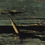 Home - 13: Netherregions