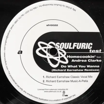 Homecookin' Feat. Andrea Clarke - Do What You Wanna (Richard Earnshaw Remixes)