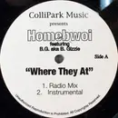 12inch Vinyl Single - Homebwoi - Where They At