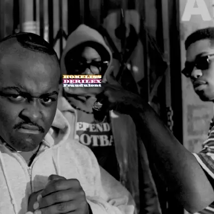 Homeliss Derilex - Fraudulent