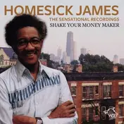 Homesick James - Shake Your Money Maker