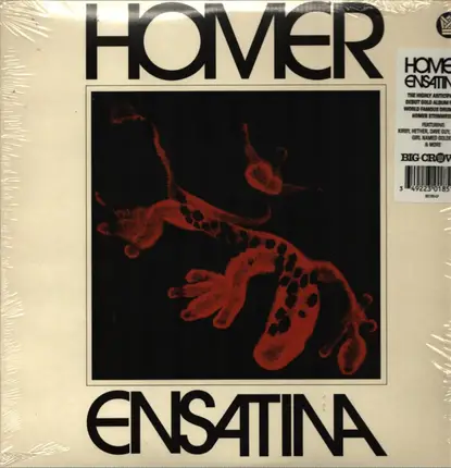 Homer - Ensatina