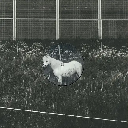 Honesty - A Horse With No Name