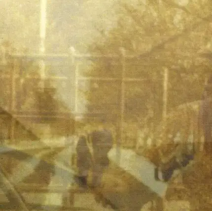 HONIG,EZEKIEL - Folding In On Itself