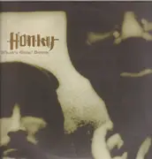 LP - Honky - What's Goin' Down