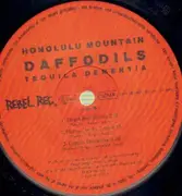 LP - Honolulu Mountain Daffodils - Tequila Dementia