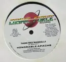 12inch Vinyl Single - Honorable Apache - Them Free Mandella