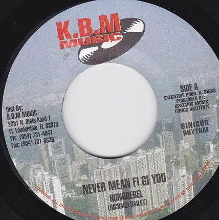 HonoRebel - Never Mean Fi Gi You