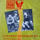 12inch Vinyl Single - Hoorah! Boys Hoorah! - Is This What You Promised Me?