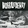 7inch Vinyl Single - Hobbledehoy - Toobin