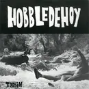 7inch Vinyl Single - Hobbledehoy - Toobin