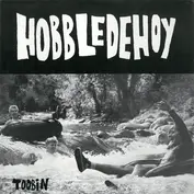 Hobbledehoy