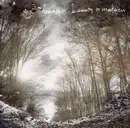 CD - Hobotalk - Beauty In Madness