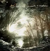 LP - Hobotalk - Beauty In Madness