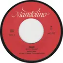 7inch Vinyl Single - Holger Garo - Heidi / Liebe Kälter Als Eis - Mono