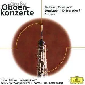 Donizetti / Bellini / Heinz Hollinger a.o. - Grosse Oboenkonzerte
