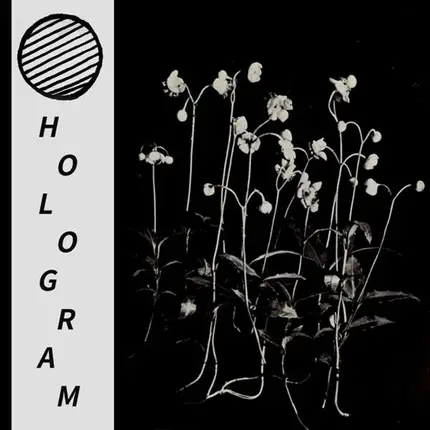 Hologram - Build Yourself Up So Many Times Only To Be Brought
