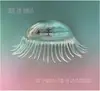 LP & MP3 - Hope  Sandoval & The Warm Inventions - Until The Hunter (lp+mp3)