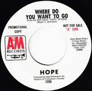 Hope - Where Do You Want To Go / Little Things